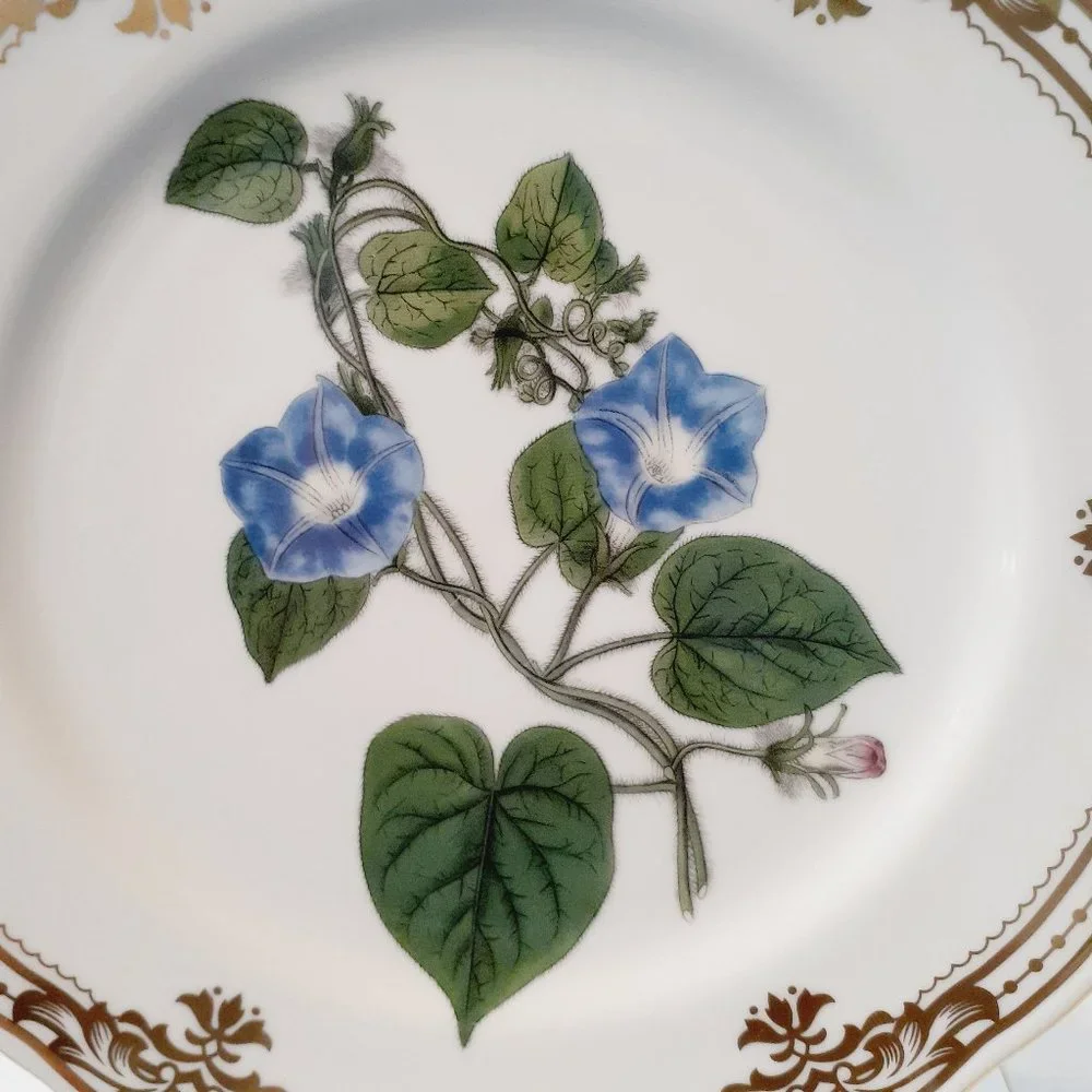 Andrea by Sadek, Golden Botanical by Robert Sweet 1824 London Plate 10 1/2"- - Picture 2 of 8